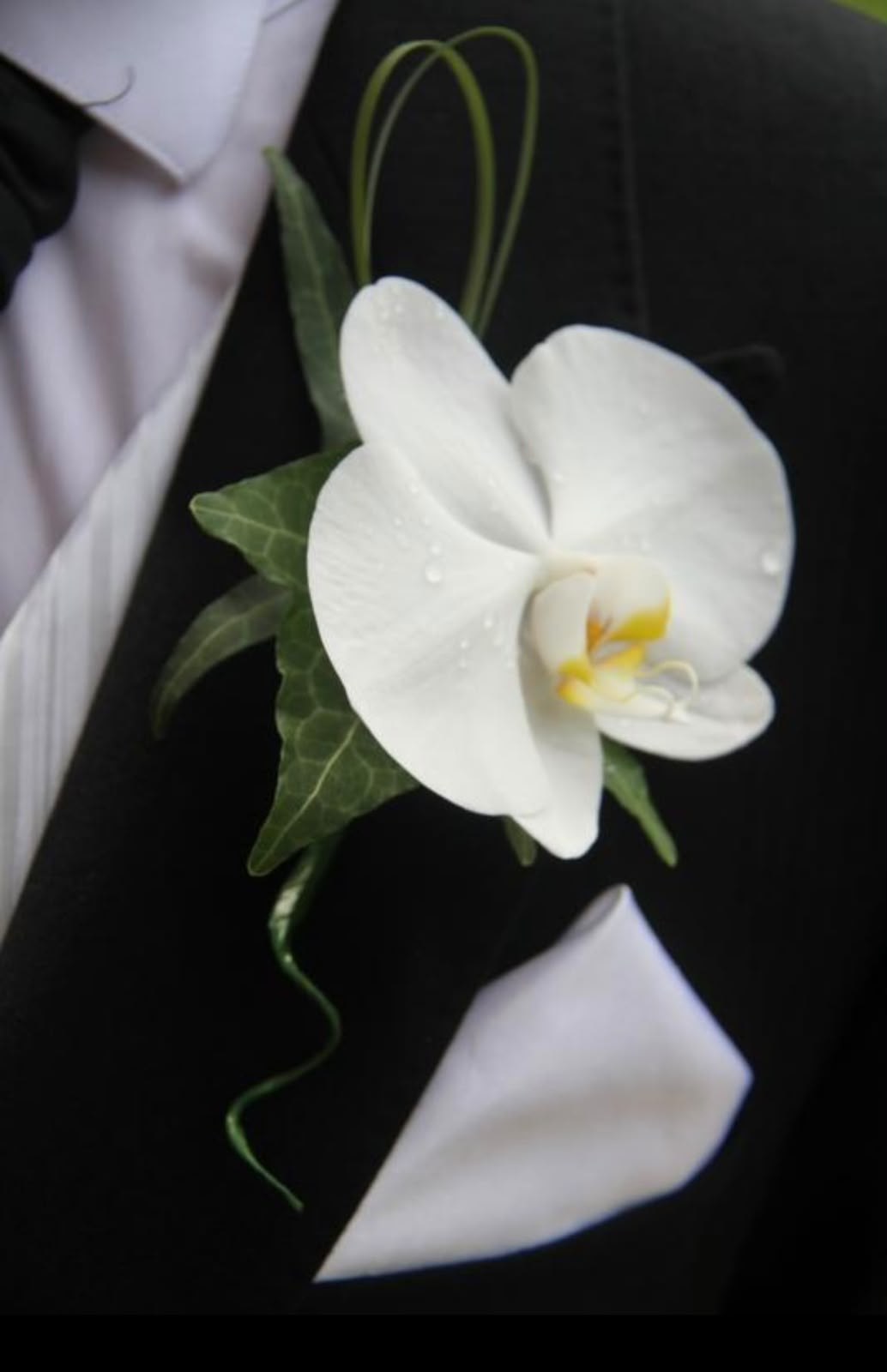 Wedding Buttonhole - $25 to $35 by Everyday Flowers Sydney